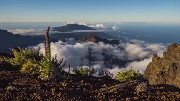 Salida Del Sol Palma Islas Canarias España — Vídeo de stock