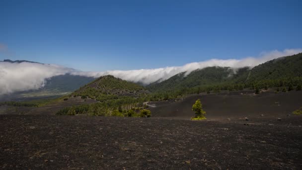 Cascada Nubosa Palma Islas Canarias España — Vídeos de Stock