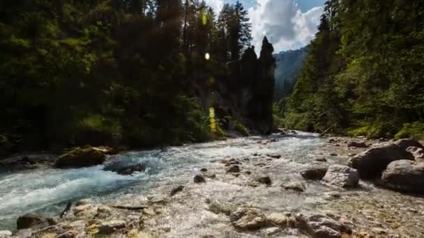 德国阿尔卑斯山巴伐利亚夏季河流 — 图库视频影像