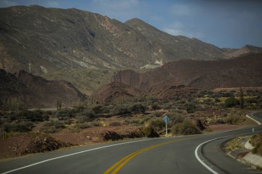 Cordillera 'daki kuru yol manzarası Gerçek, And Dağları, Bolivya