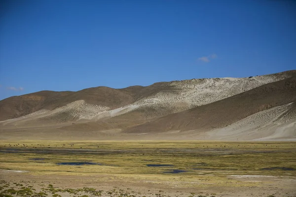 Сухі Ландшафти Кордильєра Реаль Анди Болівія — стокове фото