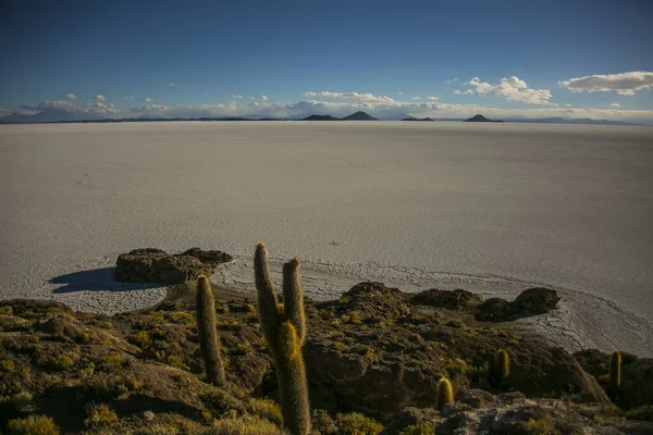Store Uyuni Salar Cordillera Real Andes Bolivia – stockfoto