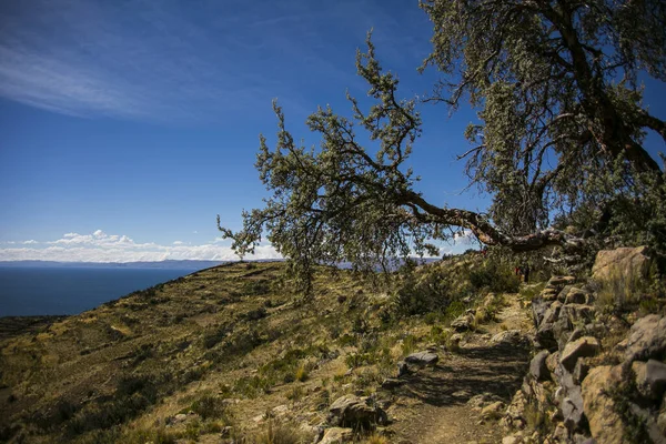 Montañas Paisajes Cordillera Real Andes Bolivia — Foto de Stock