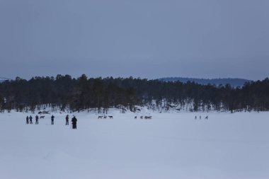Inari Gölü, Laponya, Finlandiya 'da kayak gezisi