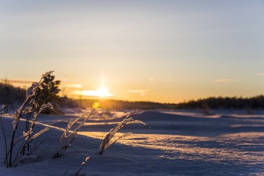 Nuorgam, Lapland, Finlandiya 'da kış günbatımı