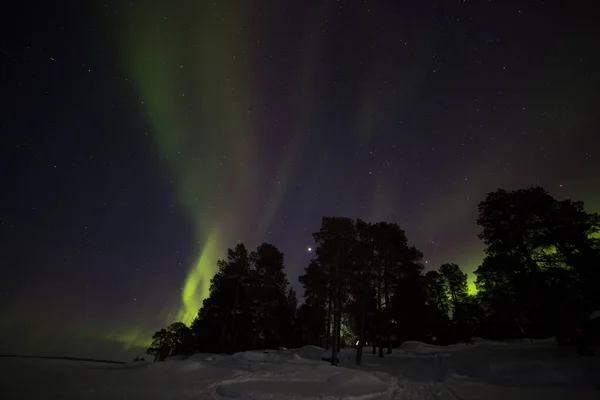 Aurores Boréales Dans Inari Lake Laponie Finlande — Photo