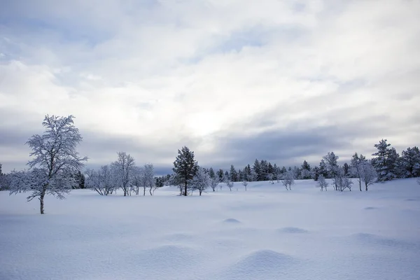 フィンランドのヌオルガムにある冬の風景 — ストック写真
