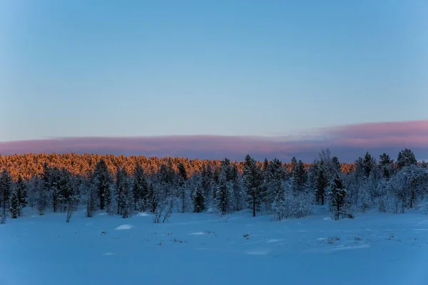 Coucher Soleil Hiver Nuorgam Laponie Finlande — Photo