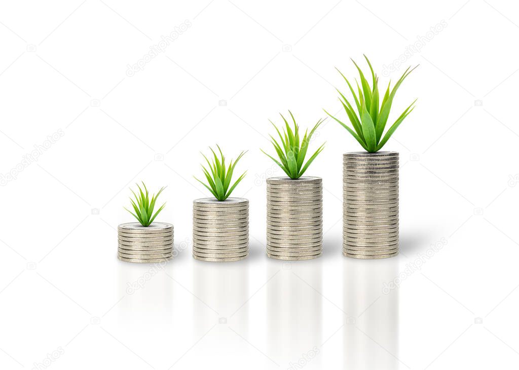 Silver coin stacks with growing plant isolated on white background. Business, finance, investment, money saving and budget concept. with clipping paths.