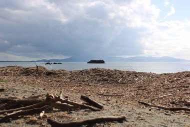 Talamone Sahili Toskana 'da bir kum yığını
