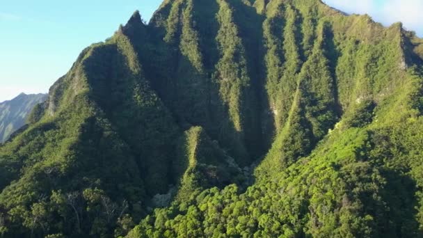 Letecké záběry pohled na hory u slavných haiku schodů Havaj — Stock video