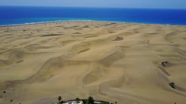 Vista aérea de las dunas de gran canaria maspalomas — Vídeos de Stock
