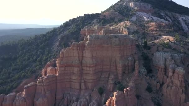 Aerial pine forest mountain near bryce canyon dixie national forest — Stock Video