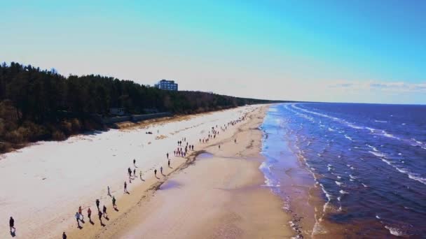 Uitzicht vanuit de lucht op de mensen die langs het strand langs de Baltische Zee lopen — Stockvideo