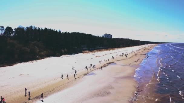 Uitzicht vanuit de lucht op de mensen die langs het strand langs de Baltische Zee lopen — Stockvideo