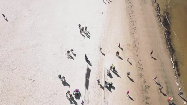 Flygfoto av människor som springer ner till stranden vid det baltiska havet — Stockvideo