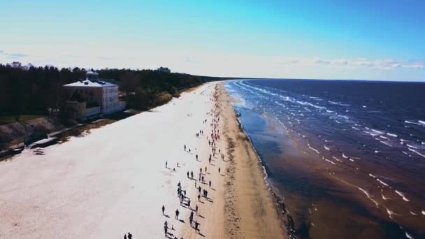 Uitzicht vanuit de lucht op de mensen die langs het strand langs de Baltische Zee lopen — Stockvideo