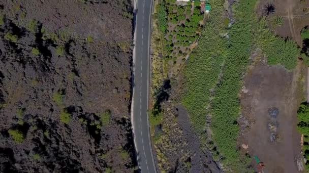 vue aérienne de la baie de playa de amadores sur l'île gran canaria en Espagne 