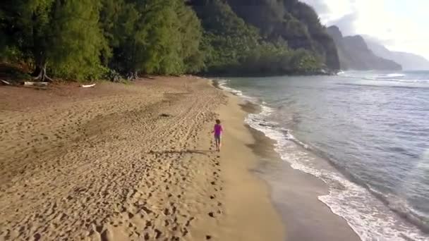 Aerial view of the beautiful girl running down the na pali coast on kauai island hawaii — Stock Video