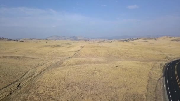 Vista aérea de los campos de maíz en California desde arriba con una carretera en el centro — Vídeos de Stock