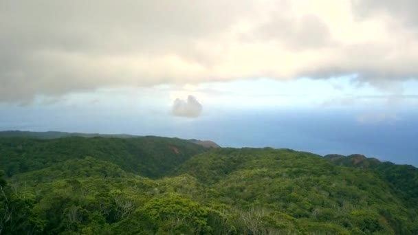Letecký pohled na ostrov kauai shora s lesními džunglemi — Stock video