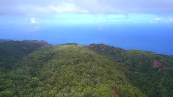 Vista aérea de la isla de Kauai desde arriba con bosques selváticos — Vídeos de Stock