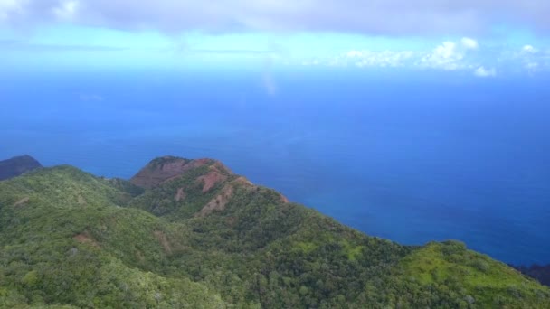 Letecký pohled na ostrov kauai shora s lesními džunglemi — Stock video