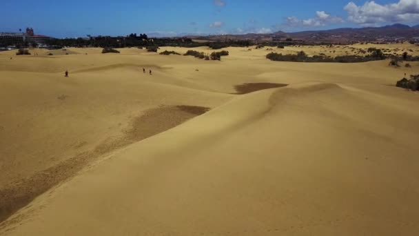 Vue aérienne des superbes dunes de sable de maspaloma à Gran Canaria — Video