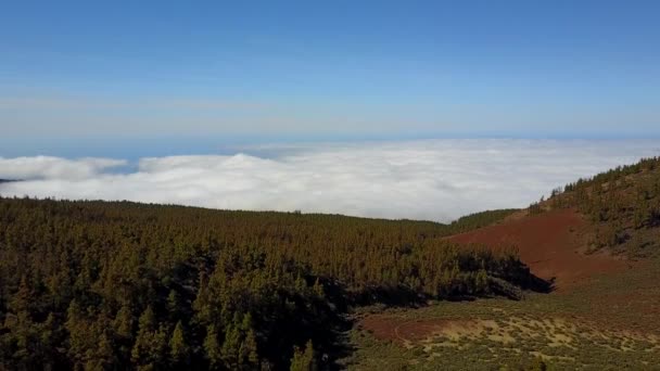 Вид з повітря на острів Тенеріфе — стокове відео