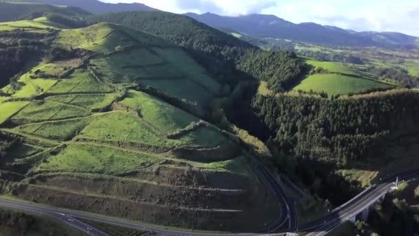 Vista aérea sobre as falésias da ilha dos Açores pelo oceano atlântico — Vídeo de Stock