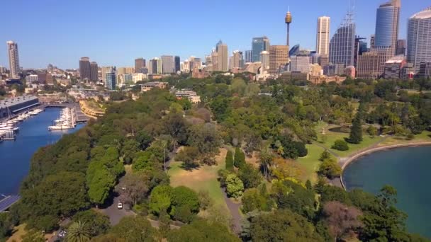 Sydney City 'nin ufuk çizgisi botanik bahçesi parkının hava görüntüsü. — Stok video
