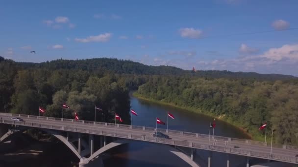 Antenn utsikt med turaides slott enorma gröna skogar flod gauja dalen vacker latvia — Stockvideo