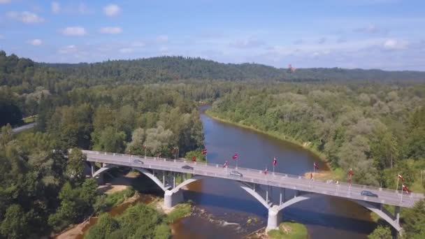 Vista aérea con turaides castillo enormes bosques verdes río gauja el valle hermoso latvia — Vídeo de stock