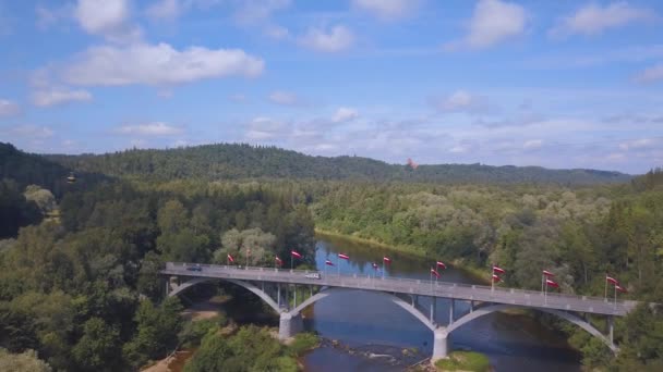 チュライデス城大規模な緑の森の川Gauja渓谷の美しいラトビアと空中の景色 — ストック動画