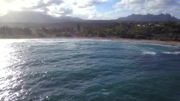 vue aérienne imprenable sur la plage d'Hawaï sur l'île de Kauai 