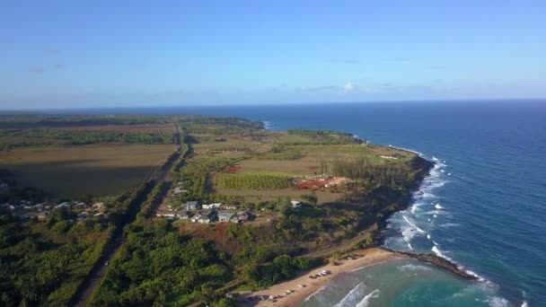 Vue aérienne imprenable sur la plage d'Hawaï sur l'île de Kauai — Video