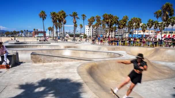 Bela vista aérea do parque de skate na praia de Veneza em la califórnia — Vídeo de Stock