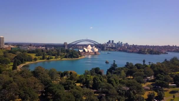 Filmische Luftaufnahme des sydney botanischen Gartens mit der Skyline der Stadt — Stockvideo