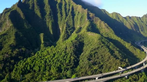 Великолепный вид с воздуха на зеленые горы Оаху — стоковое видео