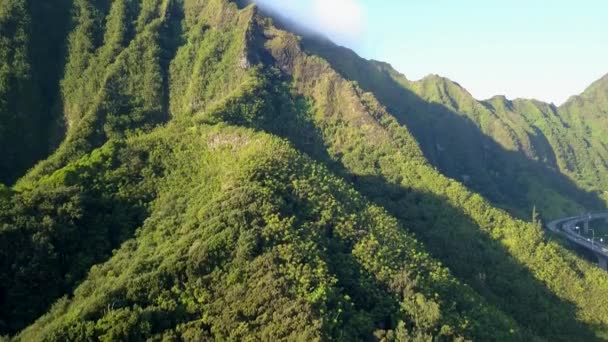 Wspaniały widok z lotu ptaka na zielone góry oahu — Wideo stockowe