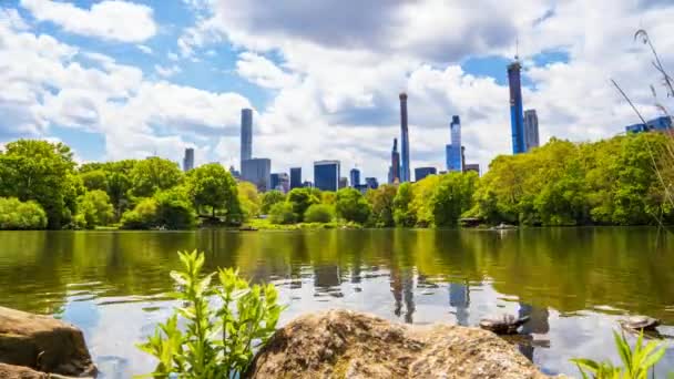 New York 'taki Central Park' ın zamanaşımı görüntüsü — Stok video