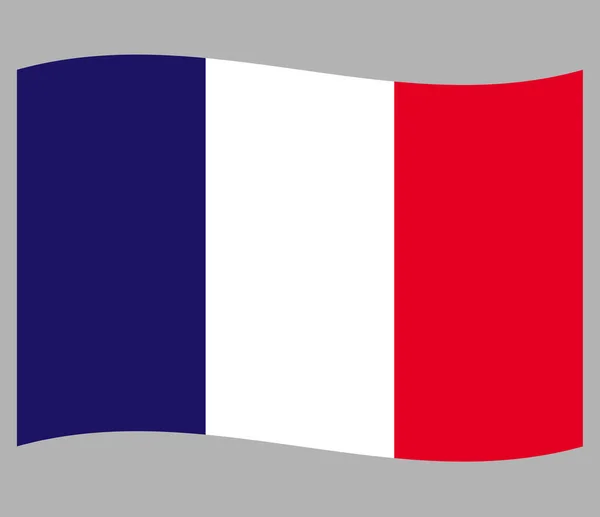 フランス語の旗の波のパターンキャンバスの背景ポスター — ストックベクタ