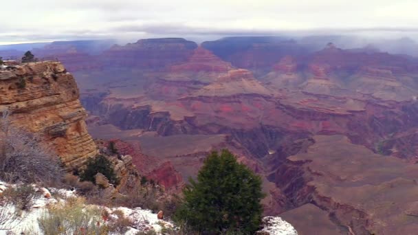 Grand Canyon nationalpark — Stockvideo