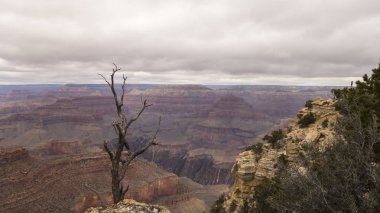 Büyük Kanyon Ulusal Parkı