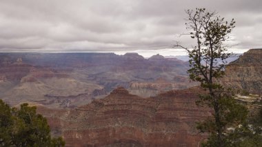Büyük Kanyon Ulusal Parkı