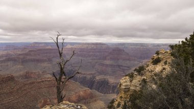 Büyük Kanyon Ulusal Parkı