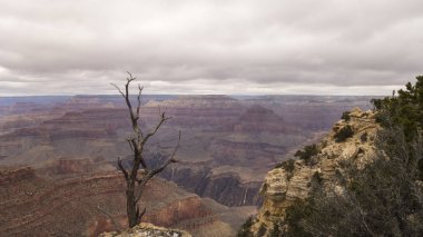 Büyük Kanyon Ulusal Parkı