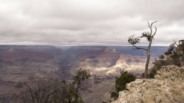 Büyük Kanyon Ulusal Parkı