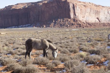 Arizona, ABD 'deki Monument Valley Ulusal Parkı