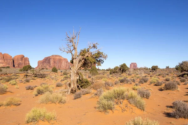 Monumento vale parque nacional em arizona, eua — Fotografia de Stock